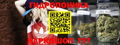 jwh Обь