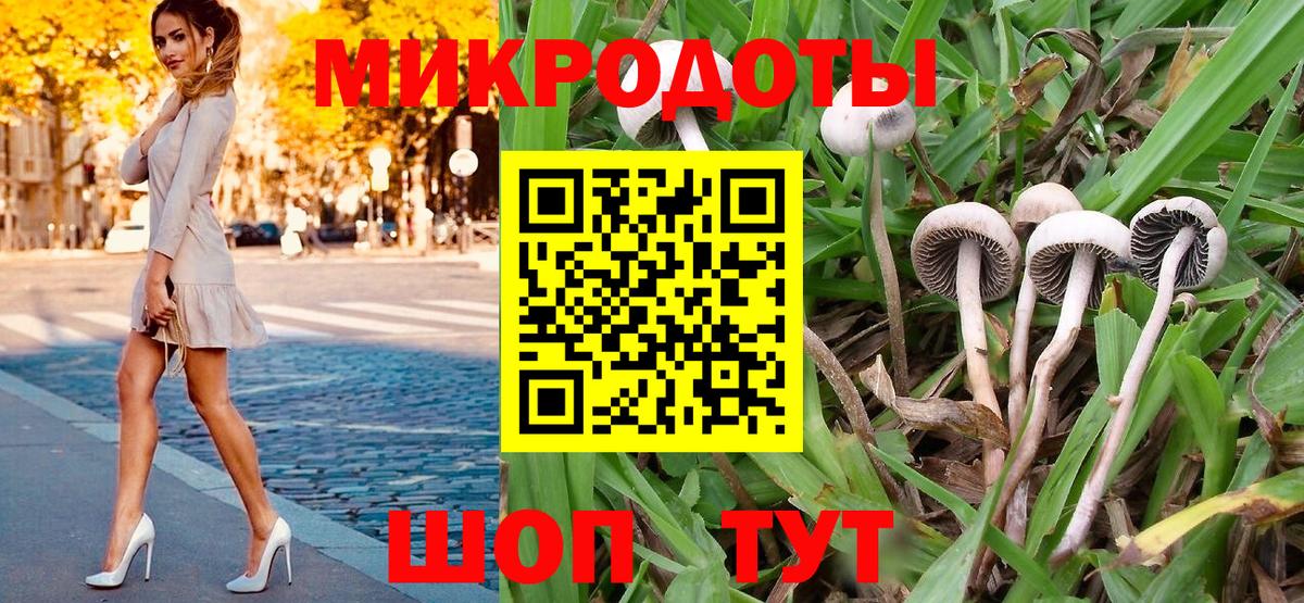 Псилоцибиновые грибы ЛСД  Псилоцибиновые грибы Psilocybe  Вход с VPN  Северобайкальск 