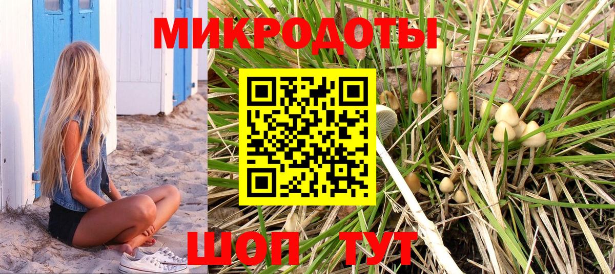 Псилоцибиновые грибы прущие грибы Северобайкальск